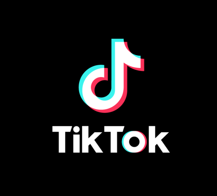 TikTok and the Emerging Culture of “Homiesexuals?
