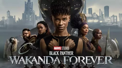 Black Panther: Wakanda Forever Defies Expectations